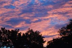 resIMG_20140926_064408_3100.JPG